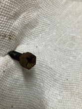 Load image into Gallery viewer, 62 63 64 65 66 67 Nova Chevy II Door Hinge to Body Bolt Set (Original) 1962 1963 1964 1965 1966 1967