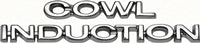67 68 69 Camaro Hood Emblem 